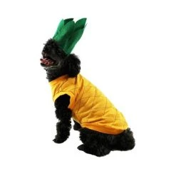 Midlee Pineapple Dog Costume -Pet Halloween Costumes Shop GUEST ff02f408 5122 4502 885b 9bd809ea0e7c
