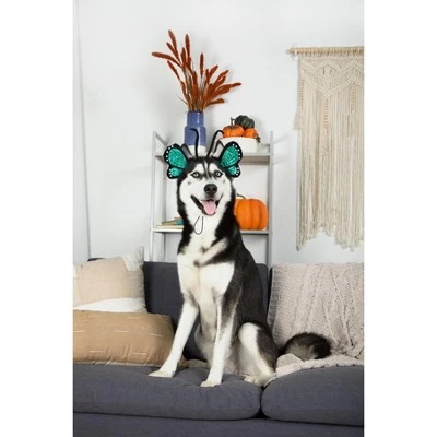 Pet Halloween Costumes Shop 38 Pet Halloween Costumes Shop -Pet Halloween Costumes Shop GUEST f059c3ea 0d7e 4d44 b04e 4f955e933c47