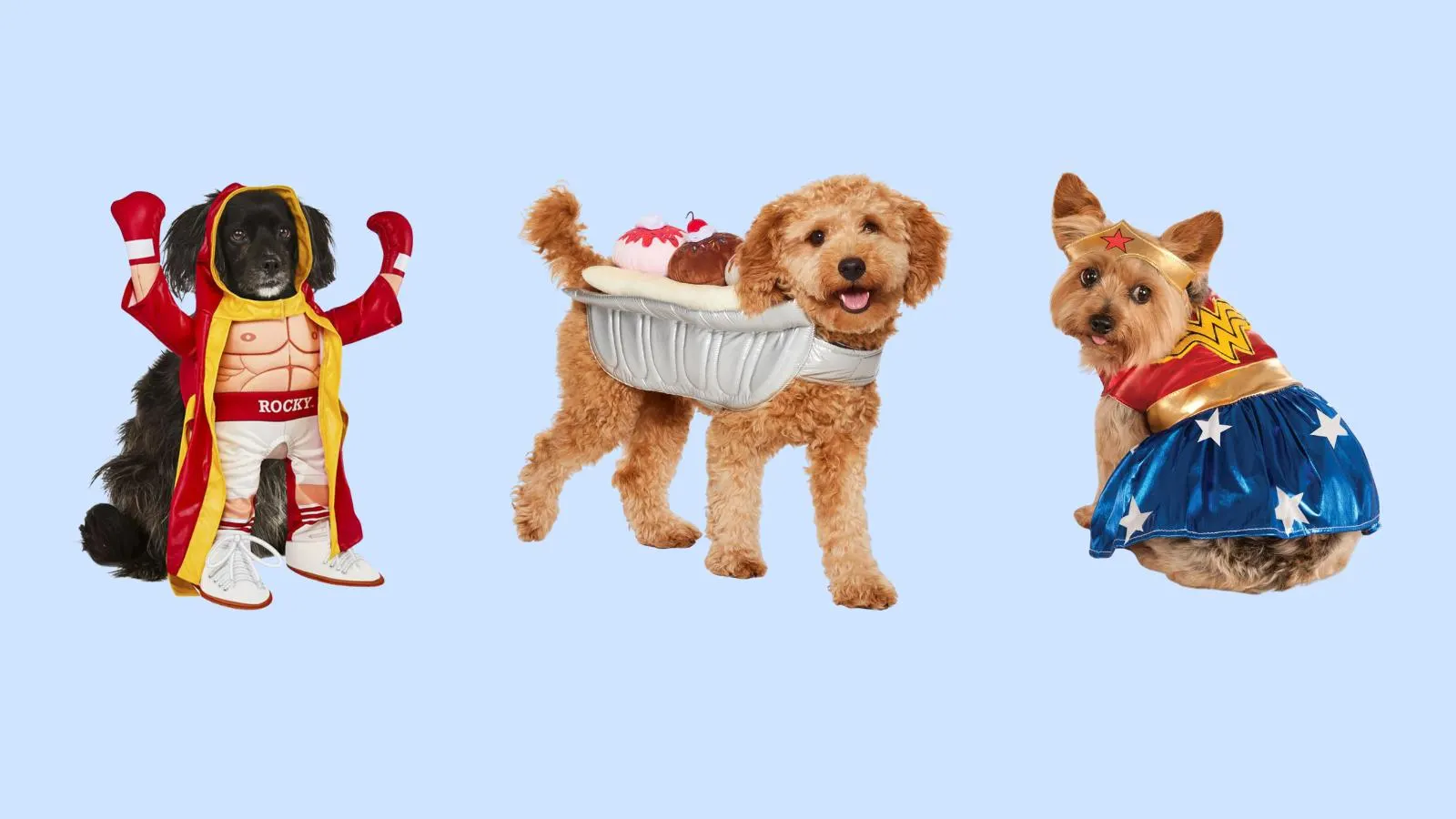 Pet Halloween Costumes Shop -Pet Halloween Costumes Shop